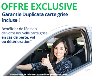 Offre exclusive garantie incluse contre la pert de votre carte grise